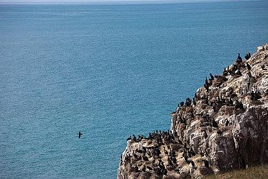 Xbox主机独占游戏《无名小卒拯救世界》或将登录PS5