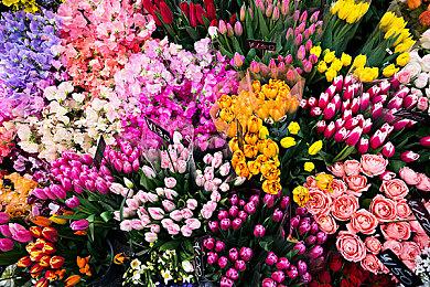 《烈焰之刃》主线时长公布 介绍武器系统